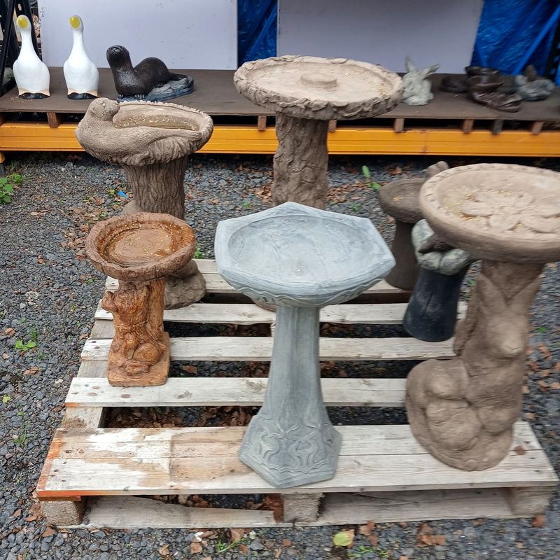 Six concrete bird baths of different designs and finishes standing on and beside a wooden pallet on gravel, with a shelf of smaller ornaments and orange racking behind