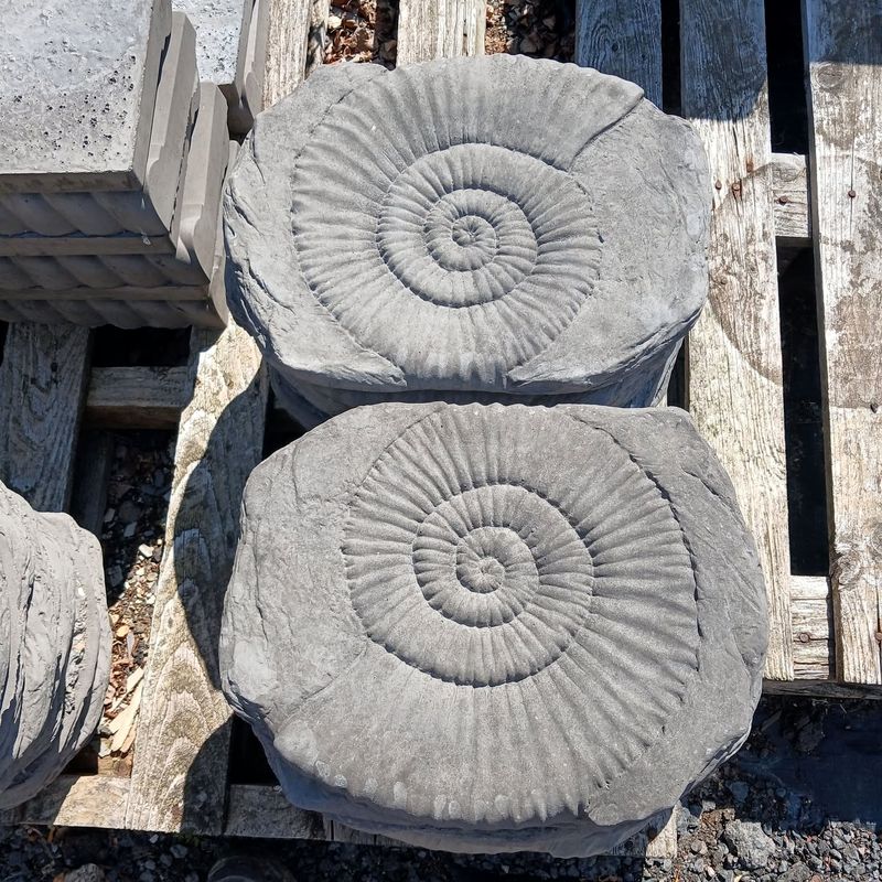 Stepping stones with a fossil ammonite spiral