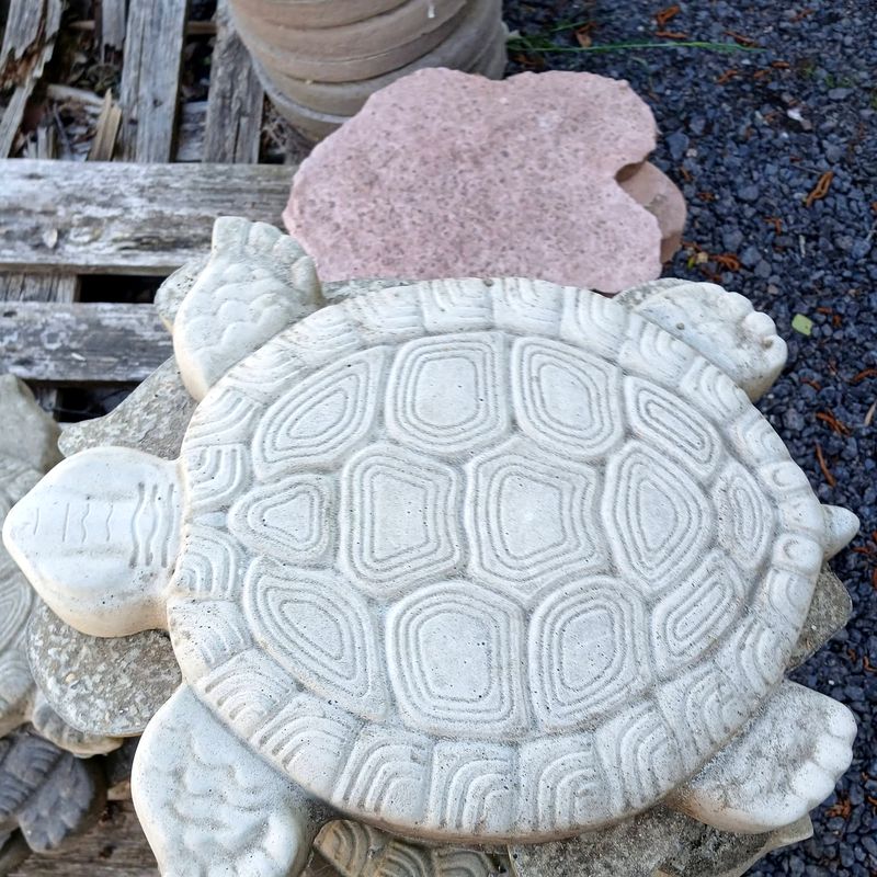 Stepping stone shaped like a tortoise with a detailed shell